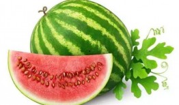 网红田田小阿姨吃瓜,揭秘娱乐圈吃瓜背后的故事