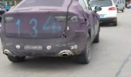 车哥最新爆料了什么